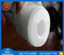 水滤芯PXY-1171-30UM  头号玩家娱乐平台滤器供应