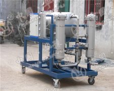 高精度聚结脱水滤油机HLYC-100J