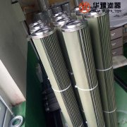 头号玩家娱乐平台生产过滤器油水分离滤芯 FPS041F003