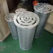 头号玩家娱乐平台LY-48/25W-40 润滑油并联滤芯