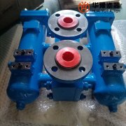 头号玩家娱乐平台替代双筒回油过滤器 SDRLF-A2600*10P