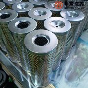 头号玩家娱乐平台LYDS-10/10W-20 调速油滤芯