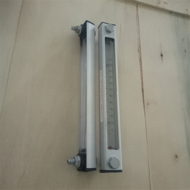 头号玩家娱乐平台  液位计 YWZ-300T