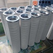 头号玩家娱乐平台小机双联滤油器保护滤芯HH8314F40KTXBM