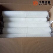 头号玩家娱乐平台定冷水过滤器滤芯 MSL-125/31