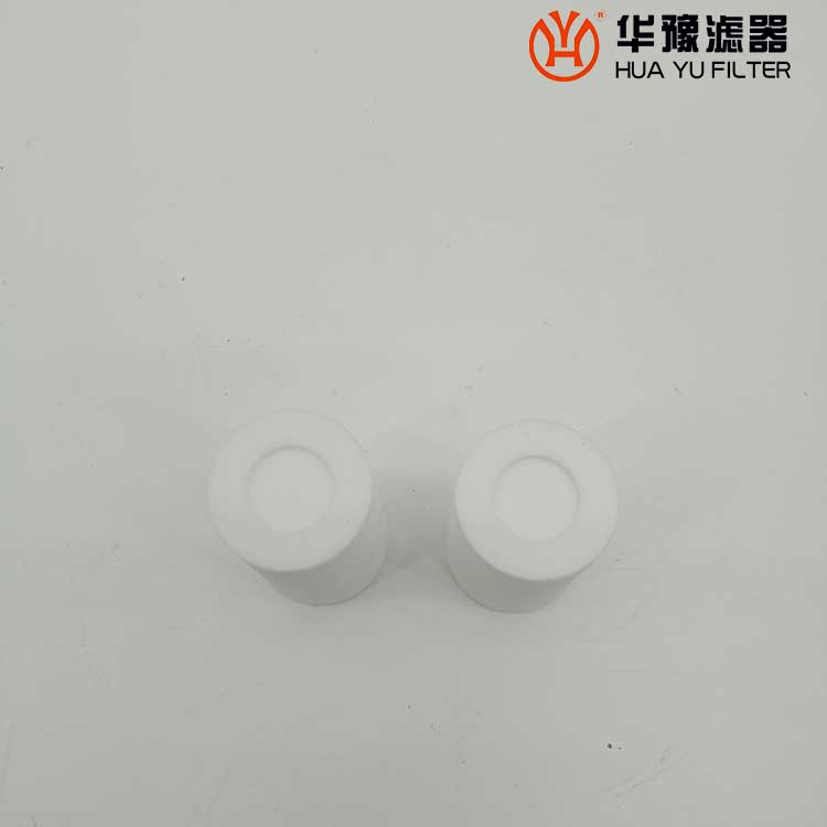 头号玩家娱乐平台PPXR-30*90 水样过滤器滤芯