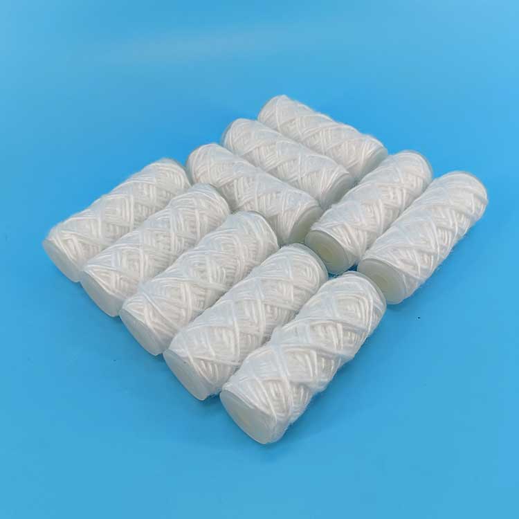 头号玩家娱乐平台供应水滤芯SS-C10S2S PP棉线绕过滤